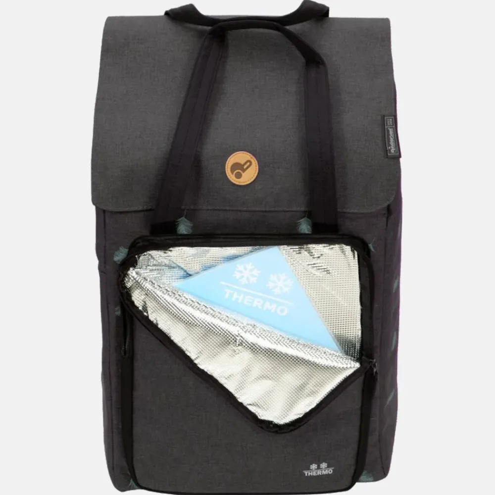 Boodschappentrolleys^Andersen Royal shopper Ivar (kogellager) boodschappentrolley anthracite