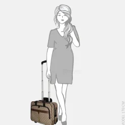 Business Trolleys | Business Trolleys^Guess Napoli pilot/business trolley beige/brown