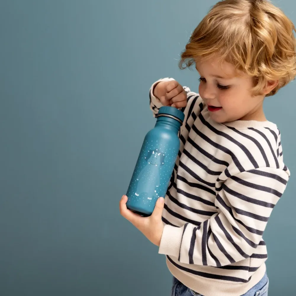 Drinkflessen | School Accessoires^Trixie drinkfles 500 ml Mr. Triceratops
